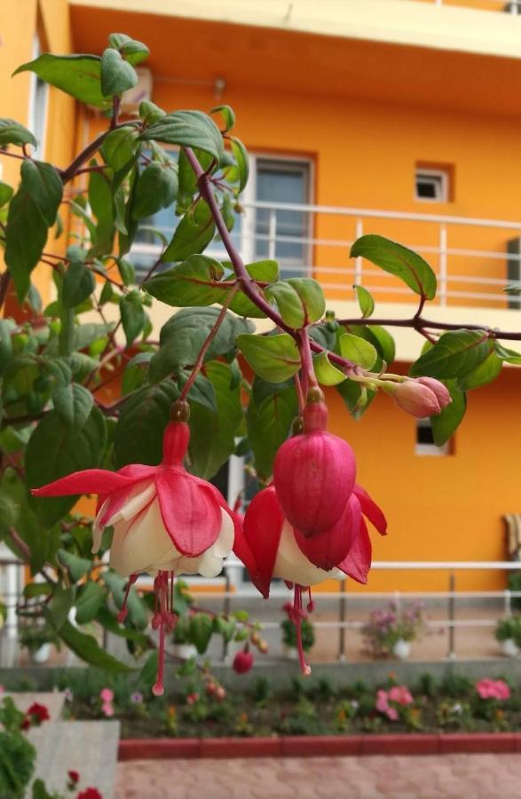 Vila Oranj Hotel Costinesti Ngoại thất bức ảnh